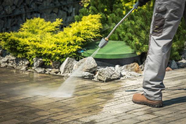 Best Winterizing Services  in Gregory, TX