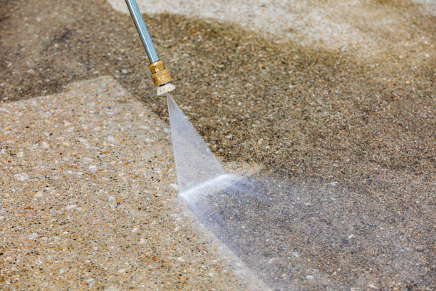 Animal Enclosure Cleaning in Gregory, TX